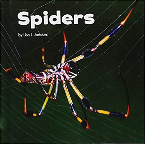 Spiders