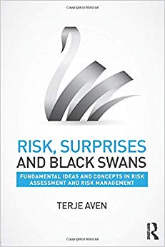 Risk, Surprises and Black Swans : Fundamental Ideas and Concepts in Risk Assessment and Risk Management