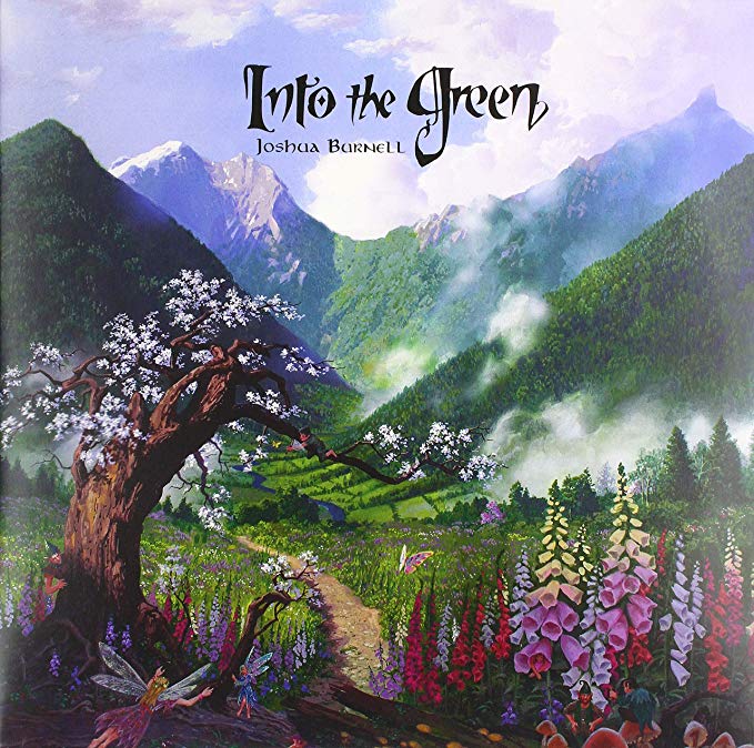 BURNELL JOSHUA - INTO THE GREEN - Vinyl Record image 1