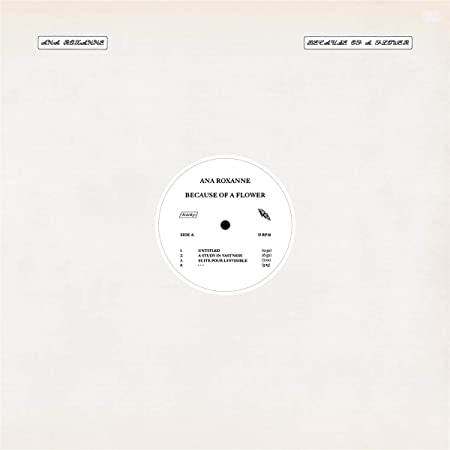 ANA ROXANNE - BECAUSE OF A FLOWER - Vinyl Record image 1