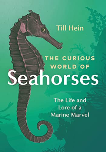 The Curious World of Seahorses : The Life and Lore of a Marine Marvel