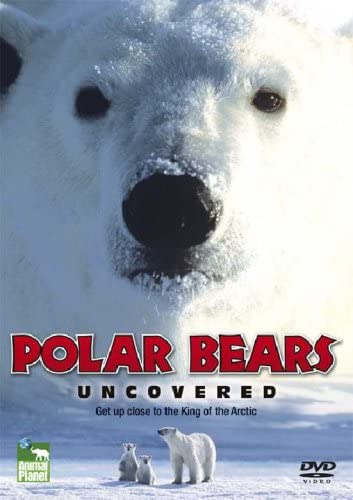 Polar Bears [DVD]