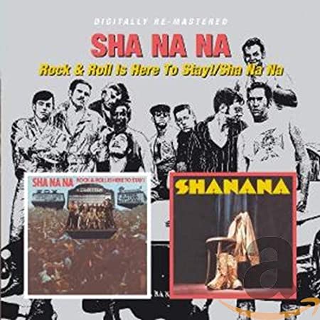 ROCK & ROLL IS HERE/SHA NA NA