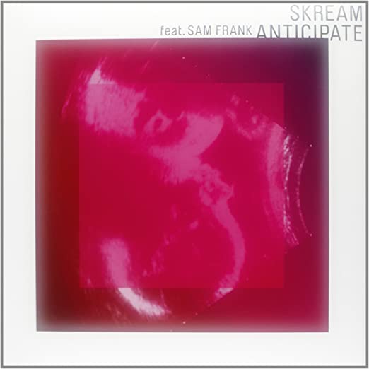 Skream - Anticipate - Vinyl Record 12" image 1
