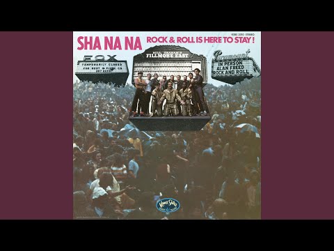 Sha Na Na - Rock And Roll Is Here To Stay - Used Vinyl Record image 1