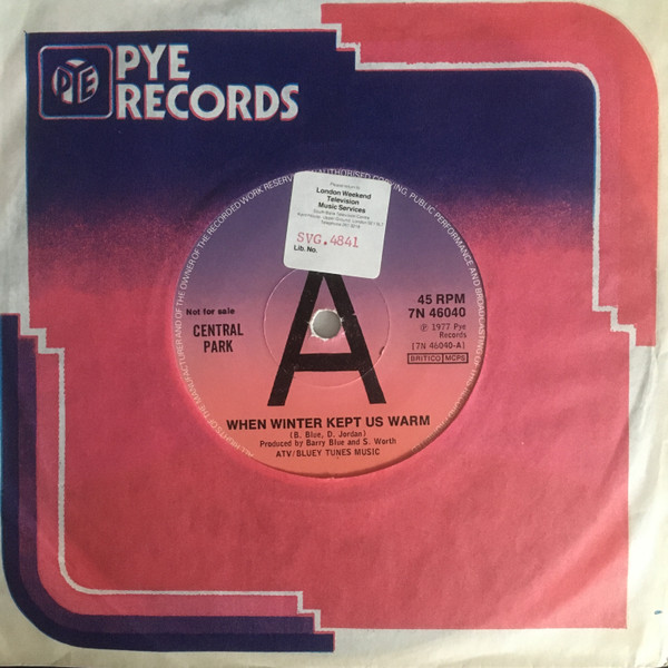 Central Park - When Winter Kept Us Warm - Used Vinyl Record 7 image 3
