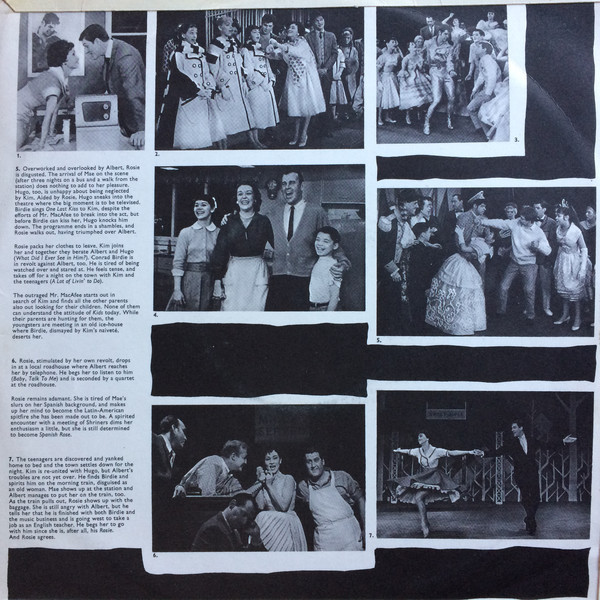 Charles Strouse - Bye Bye Birdie - Used Vinyl Record image 3