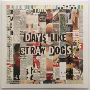 Drunk Confident - Days Like Stray Dogs - Used Vinyl Record image 1