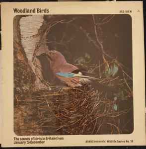 No Artist - Woodland Birds - Used Vinyl Record image 1