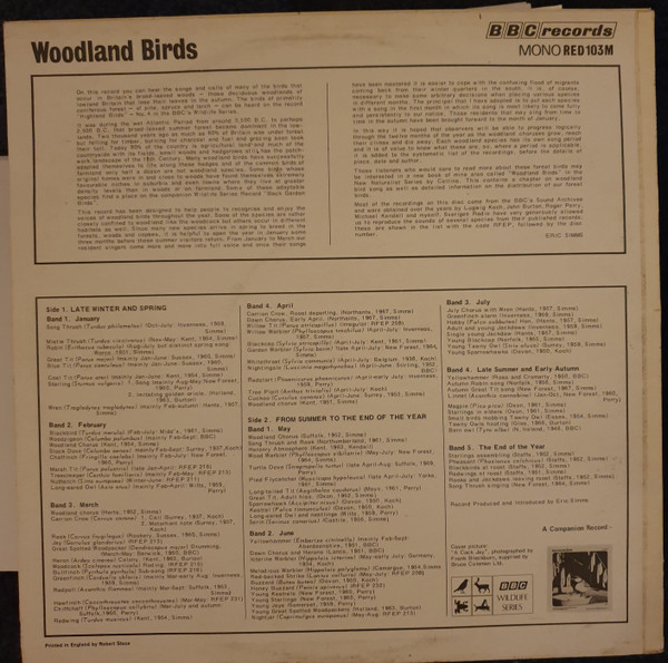 No Artist - Woodland Birds - Used Vinyl Record image 2