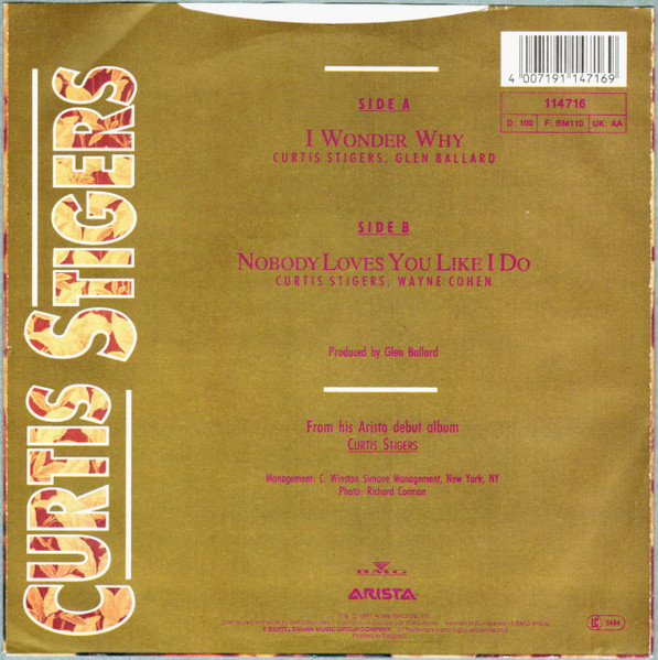 Curtis Stigers - I Wonder Why - Used Vinyl Record 7" image 2