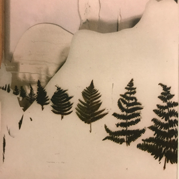 Beta Band - Three E.P.'s - Used CD image 7