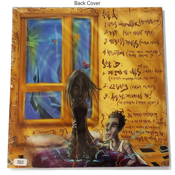 Mr. Echoes - Needless Things - Vinyl Record image 2