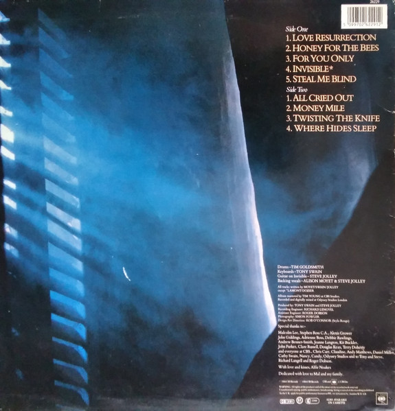 Alison Moyet - Alf - Used Vinyl Record image 2