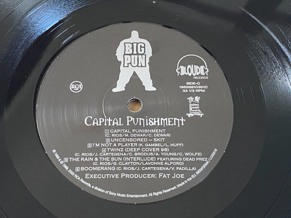Big Punisher - Capital Punishment - Vinyl Record 2xlp image 5