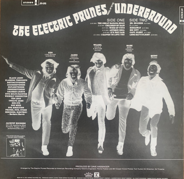 Electric Prunes - Underground - Vinyl Record lp image 3