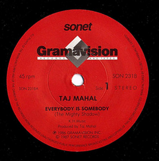 Taj Mahal - Everybody Is Somebody - Used Vinyl Record 7" image 3