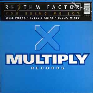 Rhythm Factor - You Bring Me Joy - Used Vinyl Record 12" image 1