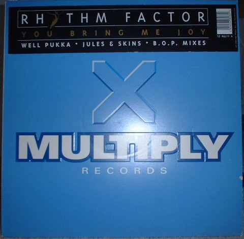 Rhythm Factor - You Bring Me Joy - Used Vinyl Record 12" image 2