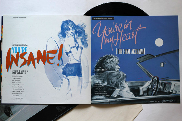 Rod Stewart - Foot Loose & Fancy Free - Used Vinyl Record image 10