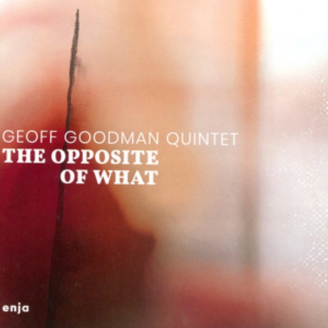 GOODMAN GEOFF/QUINTE - OPPOSITE OF WHAT THE - CD image 1