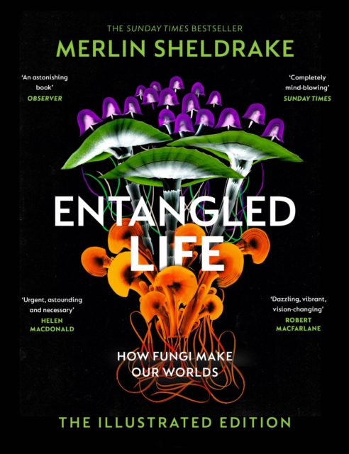 Merlin Sheldrake - Entangled Life (The Illustrated Edition) : A beauti image 1