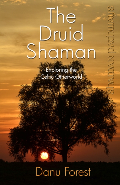 Shaman Pathways - the Druid Shaman : Exploring the Celtic Otherworld