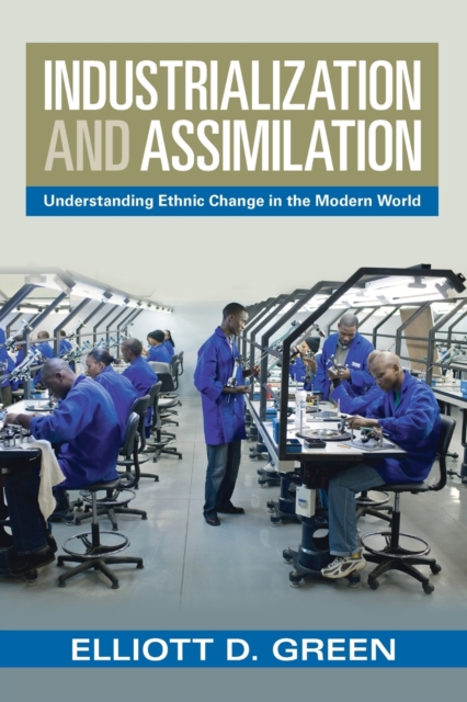 Industrialization and Assimilation : Understanding Ethnic Change in the Modern World