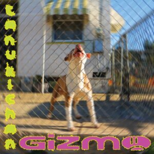 TANUKICHAN - GIZMO - Vinyl Record image 1