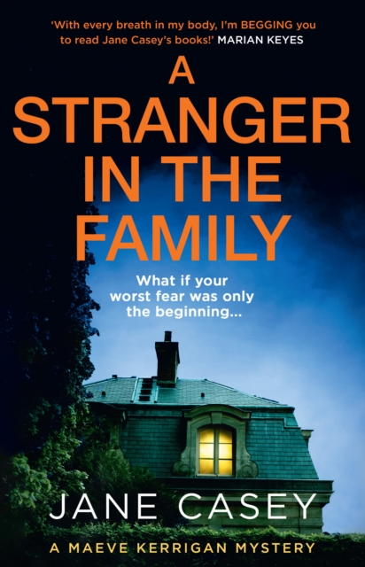 A Stranger in the Family : Book 11