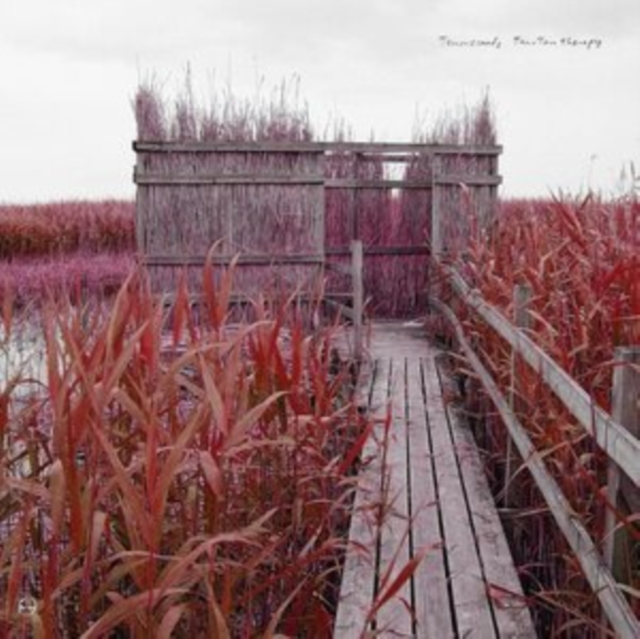 TENNISCOATS - TAN-TAN THERAPY - CD image 1