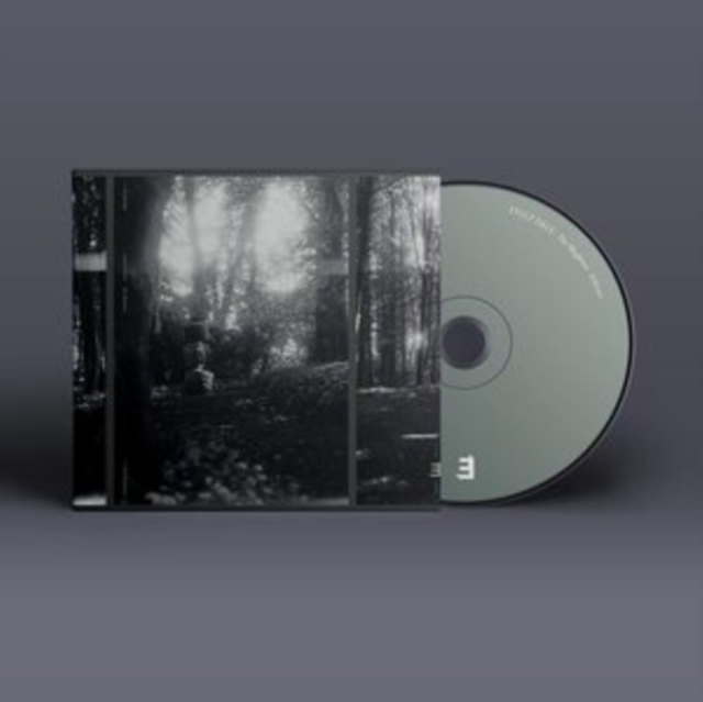 Eyolf Dale - The Wayfarers 1 x CD Album - CD image 1
