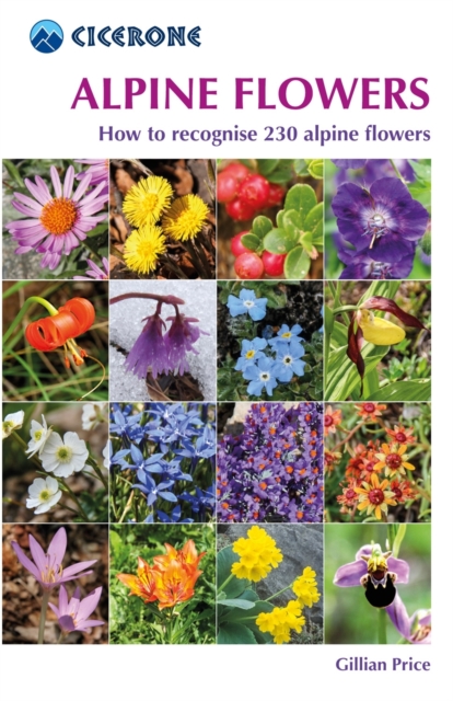 Alpine Flowers : How to recognise 230 alpine flowers