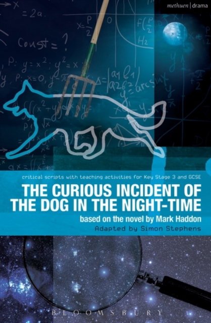 The Curious Incident of the Dog in the Night-Time : The Play