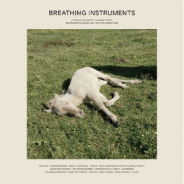 VARIOUS ARTISTS - BREATHING INSTRUMENTS - Vinyl Record image 1