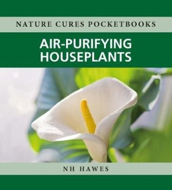 Air-Purifying Houseplants : 2