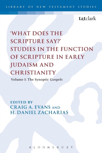 'What Does the Scripture Say?' Studies in the Function of Scripture in Early Judaism and Christianity: Volume 1: The Synoptic Gospels