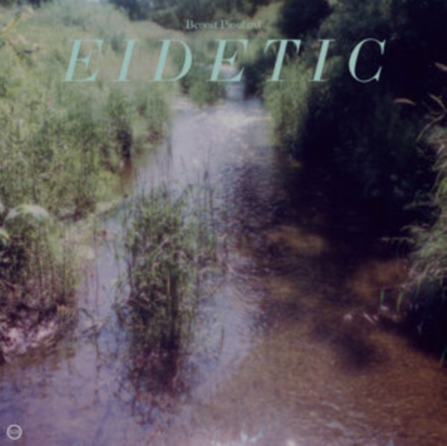 BENOIT PIOULARD - EIDETIC - Vinyl Record image 1