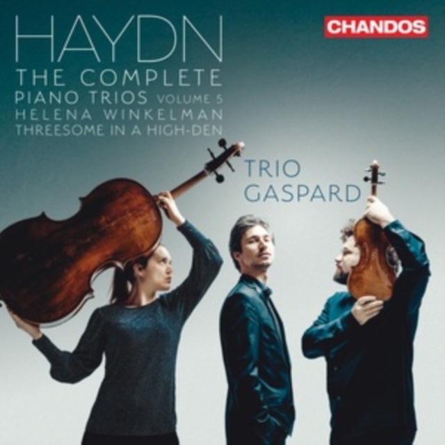 TRIO GASPARD - HAYDN - COMP PIANO TRIOS VOL 5 - cd image 1