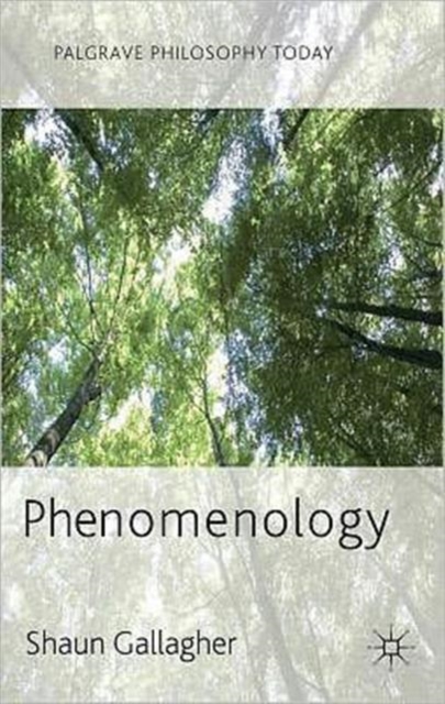 Phenomenology