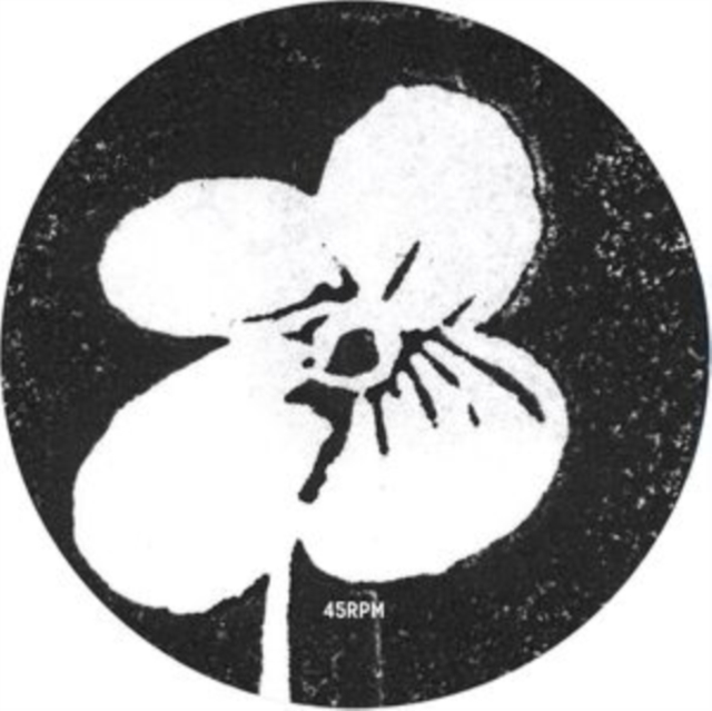 SHINDO - YOTOGI - Vinyl Record 12 image 1