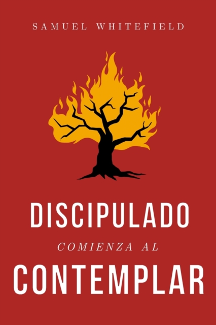 Discipulado Comienza al Contemplar