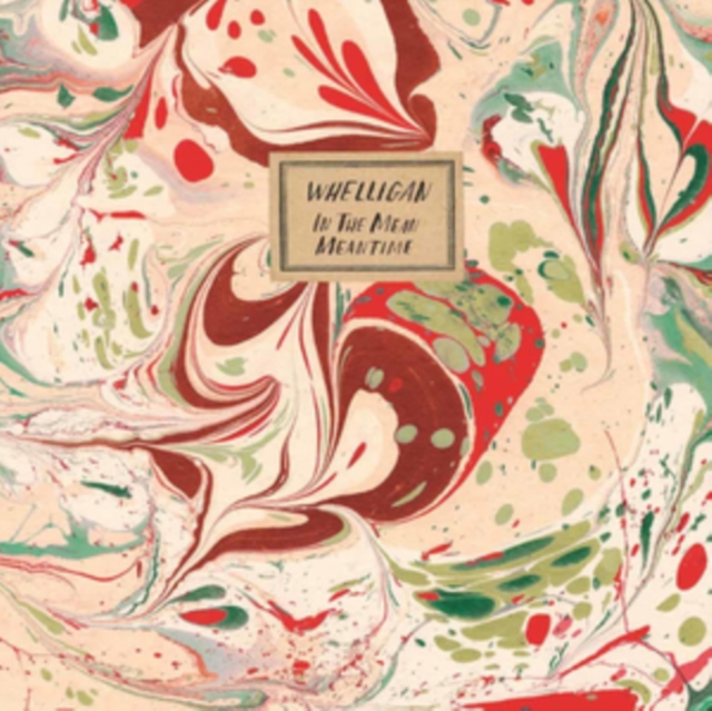 WHELLIGAN - In The Mean Meantime - CD image 1
