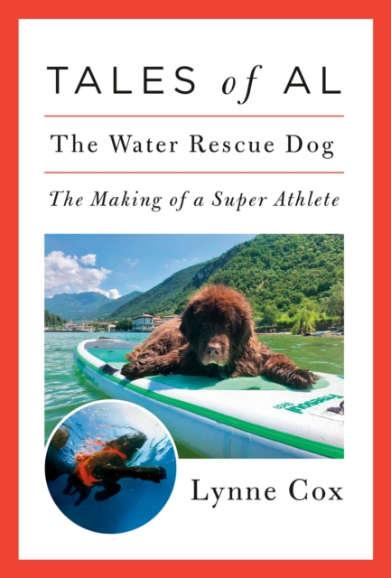 Tales of Al : The Water Rescue Dog