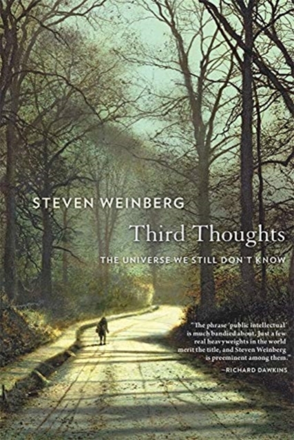 Third Thoughts : The Universe We Still Don't Know