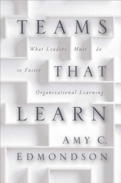 Amy C. Edmondson - Teaming : How Organizations Learn, Innovate, and Co image 1