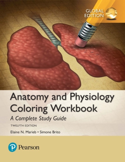 Simone Brito - Anatomy and Physiology Coloring Workbook: A Complete St image 1
