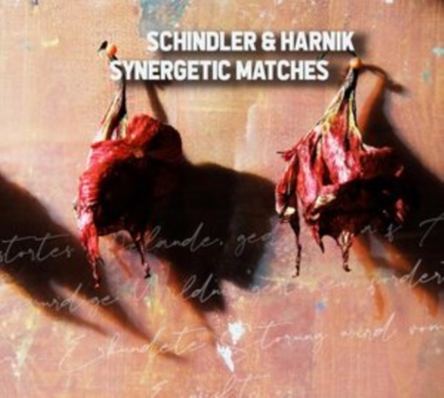 SCHINDLER & HARNIK - SYNERGETIC MATCHES - CD image 1