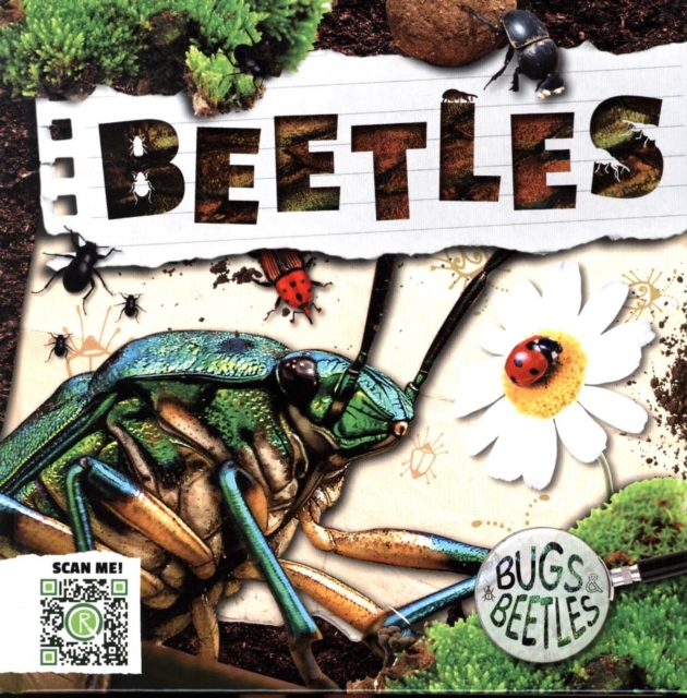 Beetles : 3