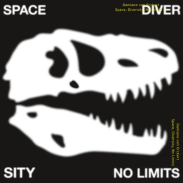 SPACE  DIVERSITY  NO LIMITS